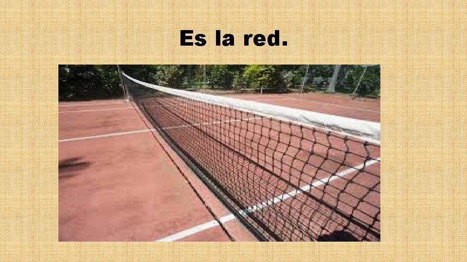 Es la red. 