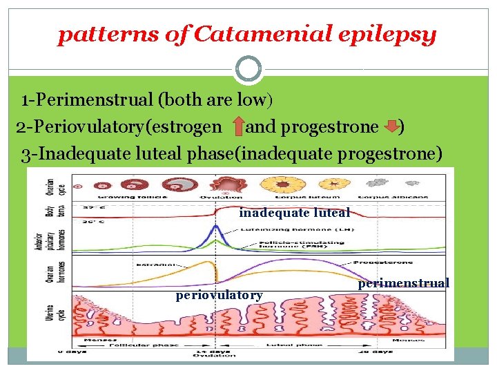 patterns of Catamenial epilepsy 1 -Perimenstrual (both are low) 2 -Periovulatory(estrogen and progestrone )