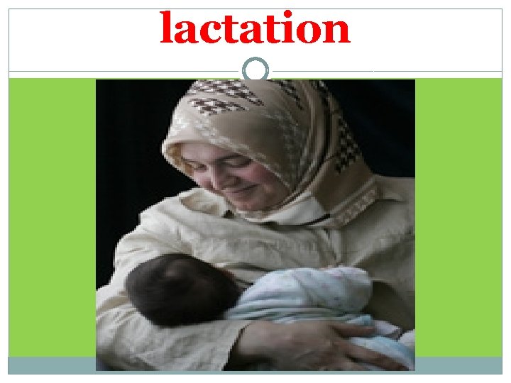 lactation 