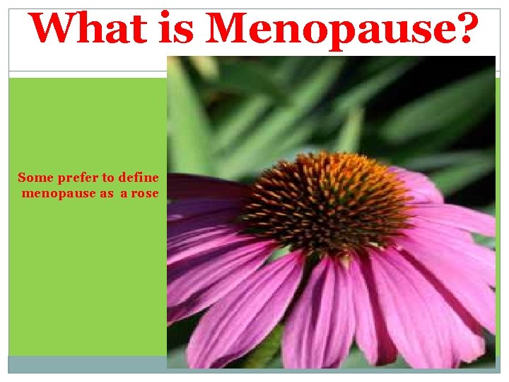 What is Menopause? Some prefer to define menopause as a rose 