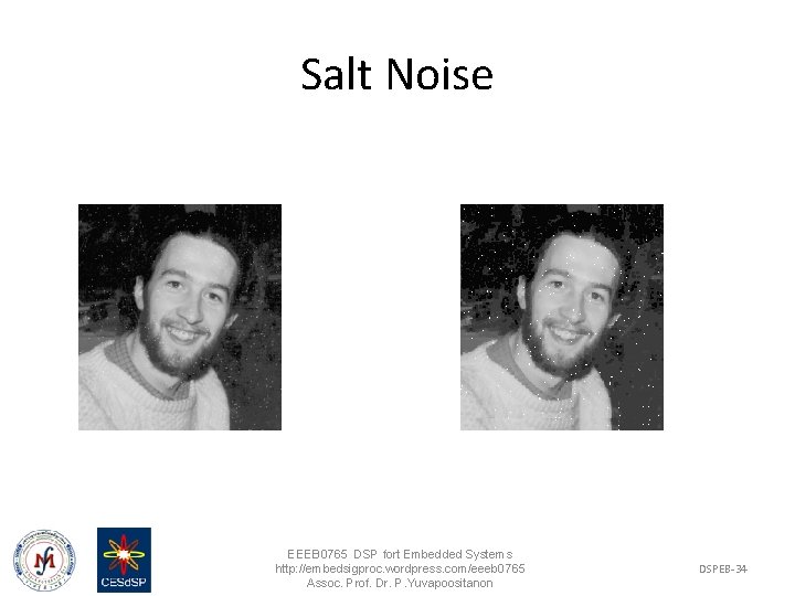 Salt Noise EEEB 0765 DSP fort Embedded Systems http: //embedsigproc. wordpress. com/eeeb 0765 Assoc.