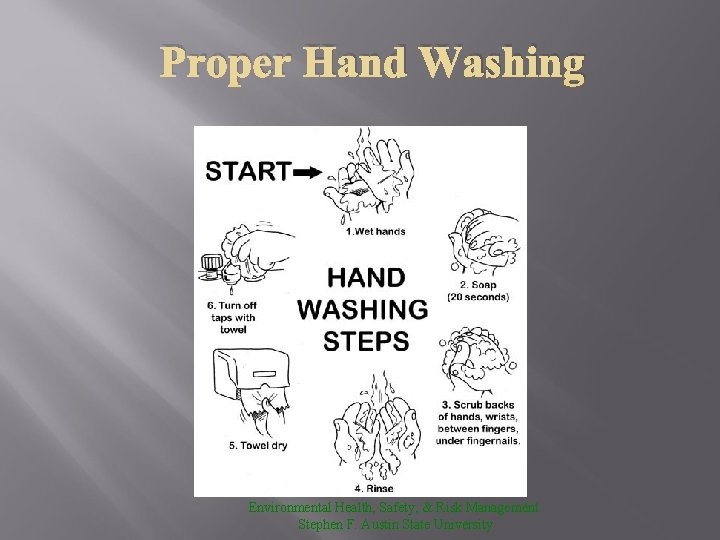 Proper Hand Washing Environmental Health, Safety, & Risk Management Stephen F. Austin State University