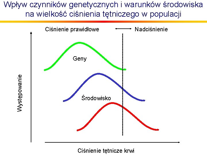 Wpływ czynników genetycznych i warunków środowiska na wielkość ciśnienia tętniczego w populacji Ciśnienie prawidłowe