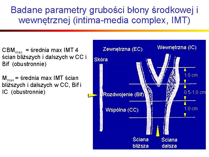 Badane parametry grubości błony środkowej i wewnętrznej (intima-media complex, IMT) CBMmax = średnia max