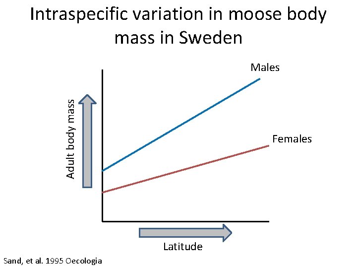 Intraspecific variation in moose body mass in Sweden Adult body mass Males Females Latitude