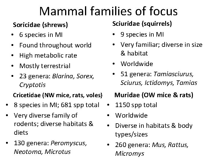 Mammal families of focus Soricidae (shrews) • 6 species in MI • Found throughout