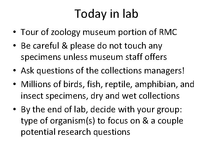 Today in lab • Tour of zoology museum portion of RMC • Be careful