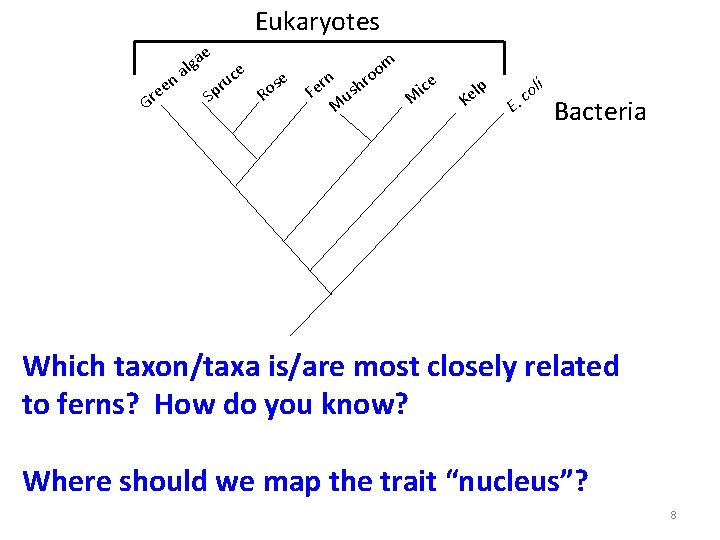 Eukaryotes n ee r G e a g al S ce u pr e