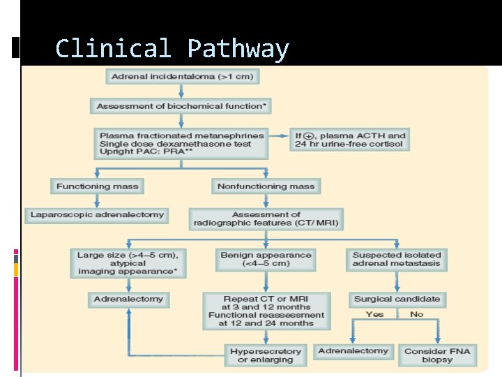 Clinical Pathway 