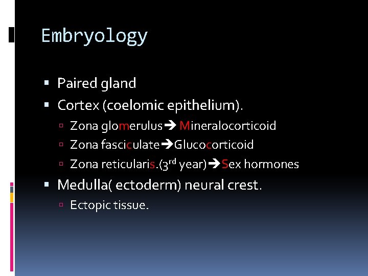 Embryology Paired gland Cortex (coelomic epithelium). Zona glomerulus Mineralocorticoid Zona fasciculate Glucocorticoid Zona reticularis.