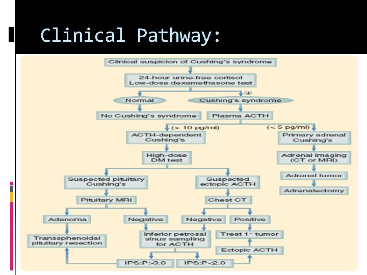 Clinical Pathway: 