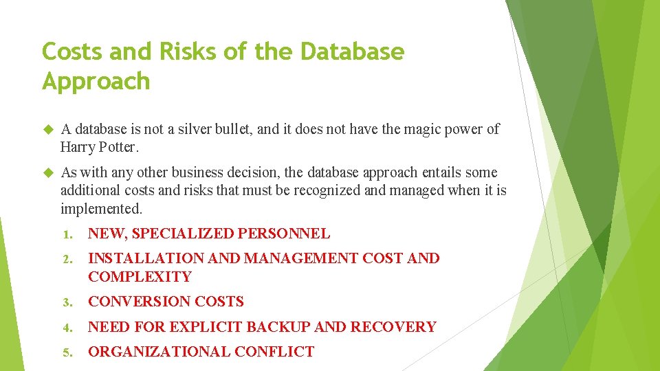 Costs and Risks of the Database Approach A database is not a silver bullet,