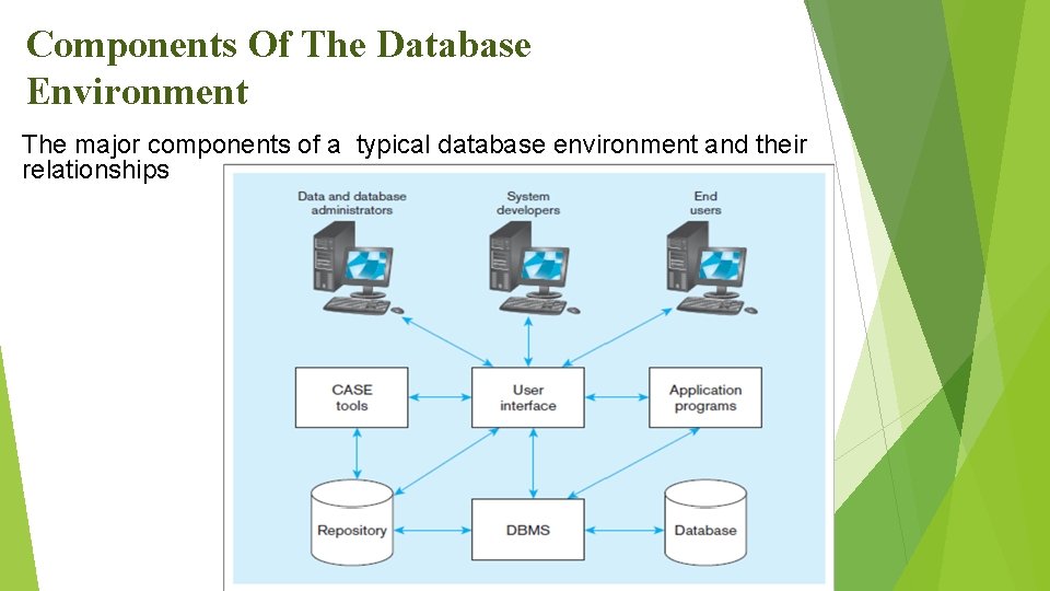  • Components Of The Database Environment The major components of a typical database