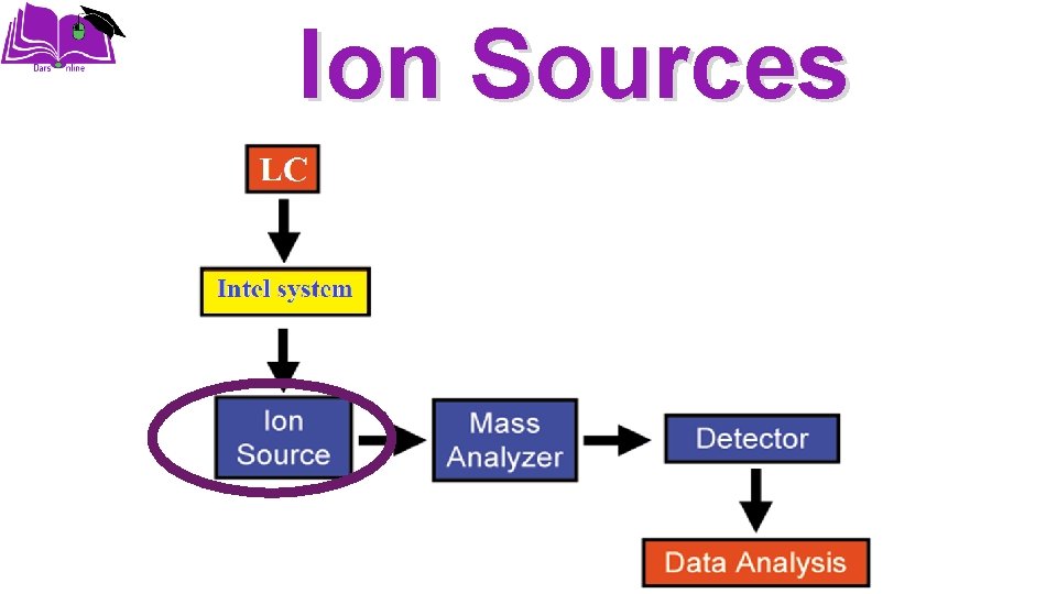 Ion Sources 