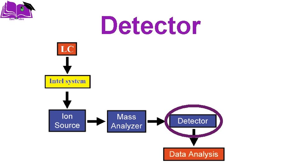 Detector 