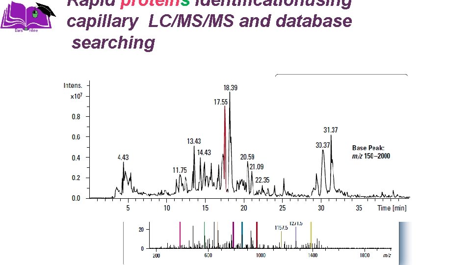 Rapid proteins identificationusing capillary LC/MS/MS and database searching Base peak chromatogram 