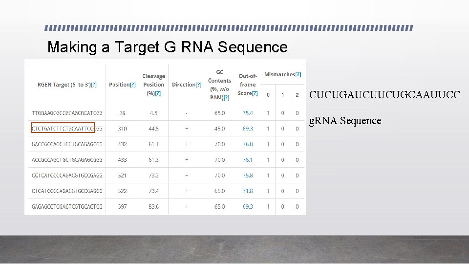 Making a Target G RNA Sequence CUCUGAUCUUCUGCAAUUCC g. RNA Sequence 