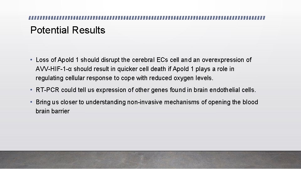 Potential Results • Loss of Apold 1 should disrupt the cerebral ECs cell and