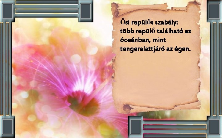 Ősi repülős szabály: több repülő található az óceánban, mint tengeralattjáró az égen. 