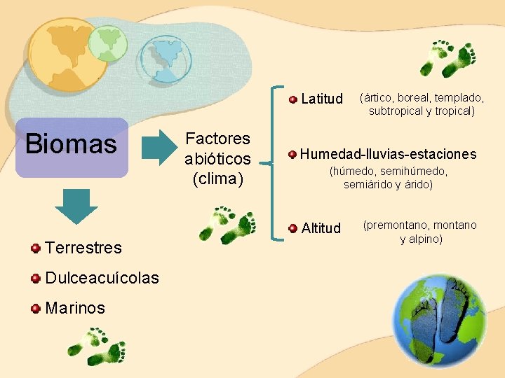 Latitud Biomas Factores abióticos (clima) Humedad-lluvias-estaciones (húmedo, semihúmedo, semiárido y árido) Altitud Terrestres
