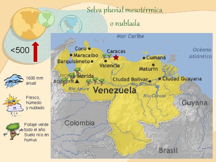 Selva pluvial mesotérmica o nublada <500 1600 mm anual PICO Fresco, húmedo y nublado