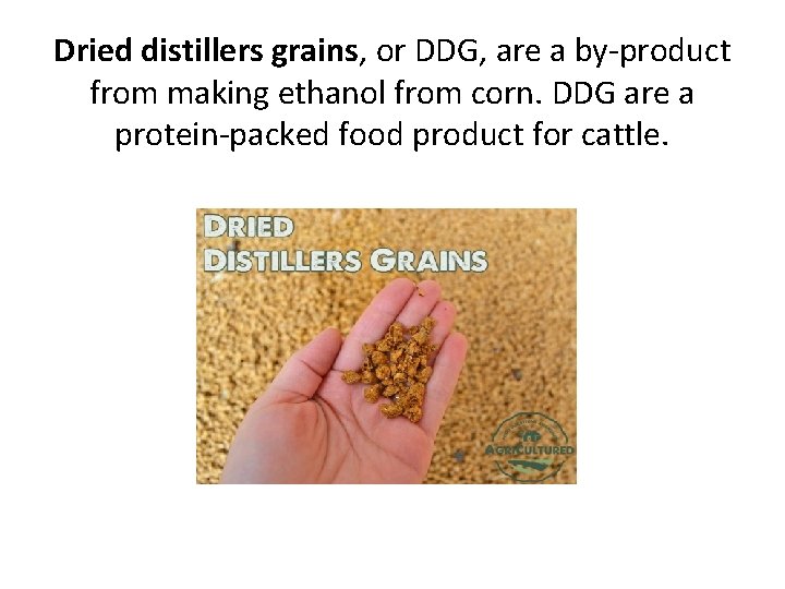 Dried distillers grains, or DDG, are a by-product from making ethanol from corn. DDG