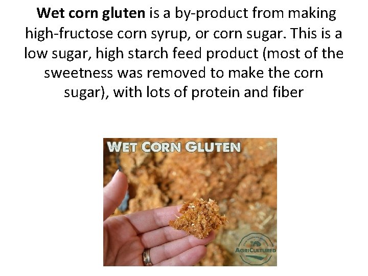  Wet corn gluten is a by-product from making high-fructose corn syrup, or corn