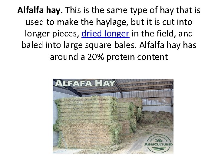 Alfalfa hay. This is the same type of hay that is used to make