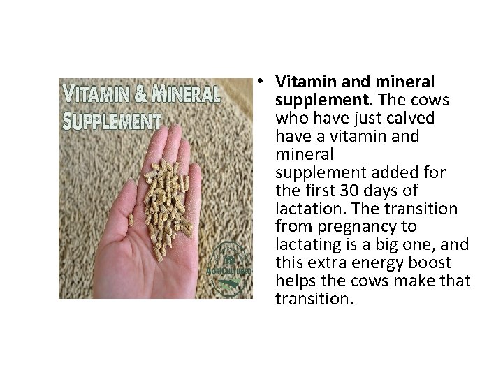  • Vitamin and mineral supplement. The cows who have just calved have a
