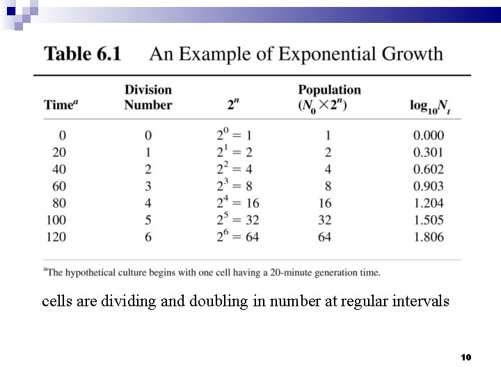 cells are dividing and doubling in number at regular intervals 10 