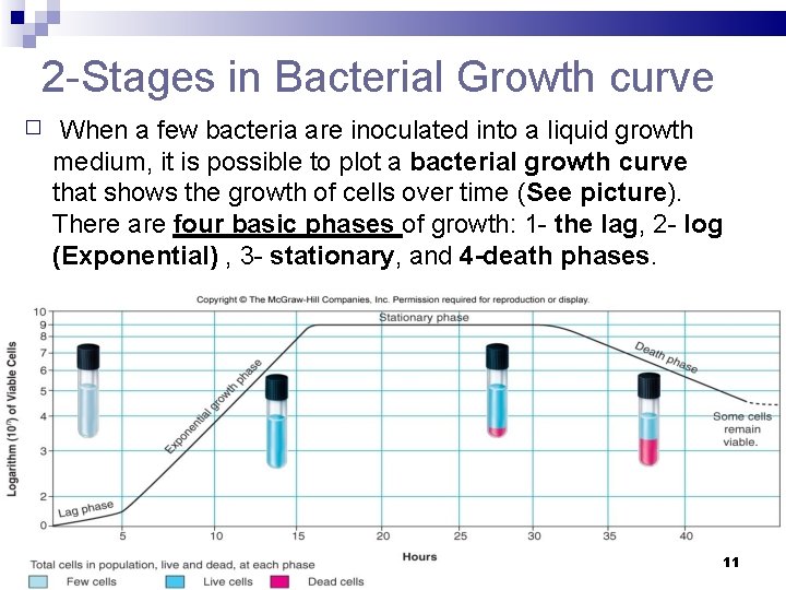 2 -Stages in Bacterial Growth curve � When a few bacteria are inoculated into