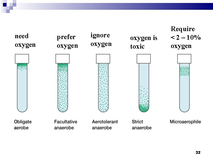 need oxygen prefer oxygen ignore oxygen is toxic Require < 2 – 10% oxygen