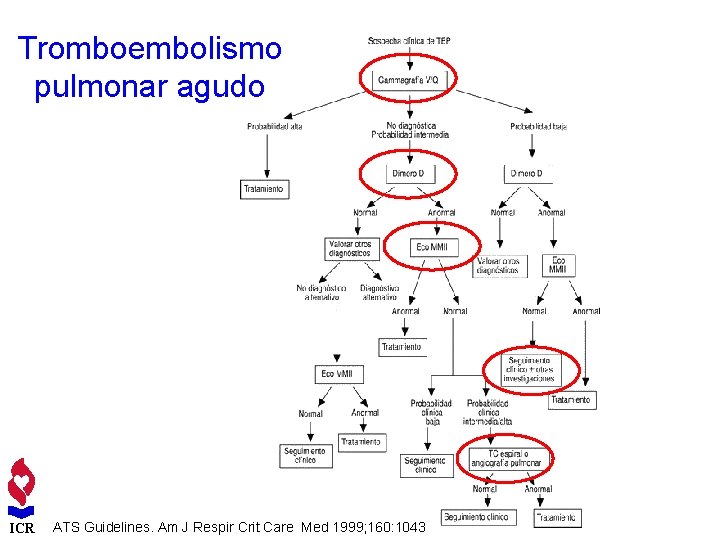 Tromboembolismo pulmonar agudo ICR ATS Guidelines. Am J Respir Crit Care Med 1999; 160: