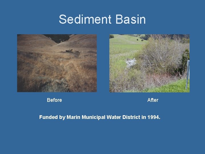 Sediment Basin Before After Funded by Marin Municipal Water District in 1994. 