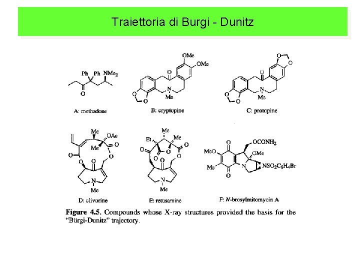 Traiettoria di Burgi - Dunitz 