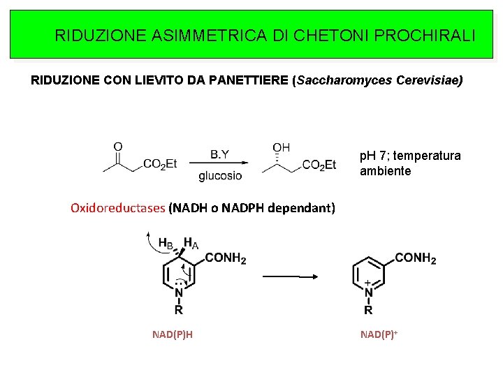 RIDUZIONE ASIMMETRICA DI CHETONI PROCHIRALI RIDUZIONE CON LIEVITO DA PANETTIERE (Saccharomyces Cerevisiae) p. H