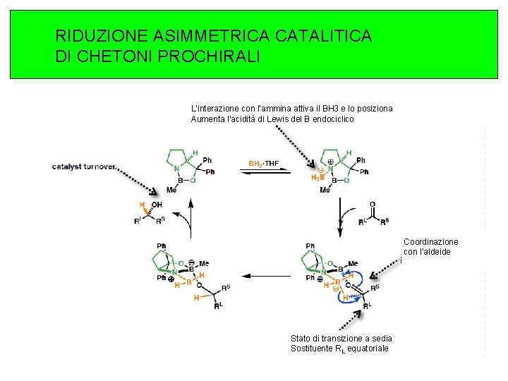 RIDUZIONE ASIMMETRICA CATALITICA DI CHETONI PROCHIRALI L’interazione con l’ammina attiva il BH 3 e