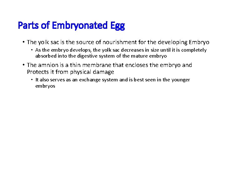 Parts of Embryonated Egg • The yolk sac is the source of nourishment for