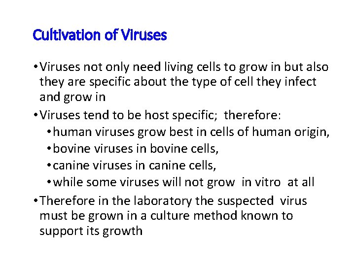 Cultivation of Viruses • Viruses not only need living cells to grow in but