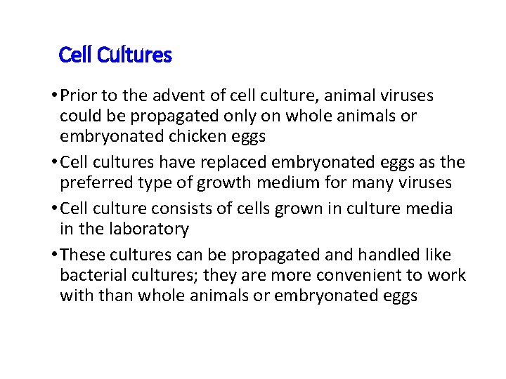 Cell Cultures • Prior to the advent of cell culture, animal viruses could be