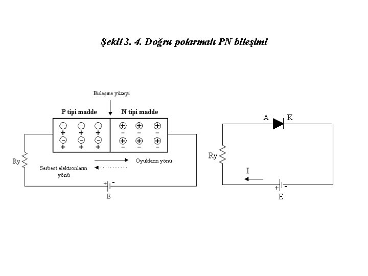 Şekil 3. 4. Doğru polarmalı PN bileşimi 