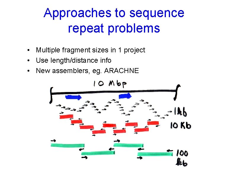 Approaches to sequence repeat problems • Multiple fragment sizes in 1 project • Use