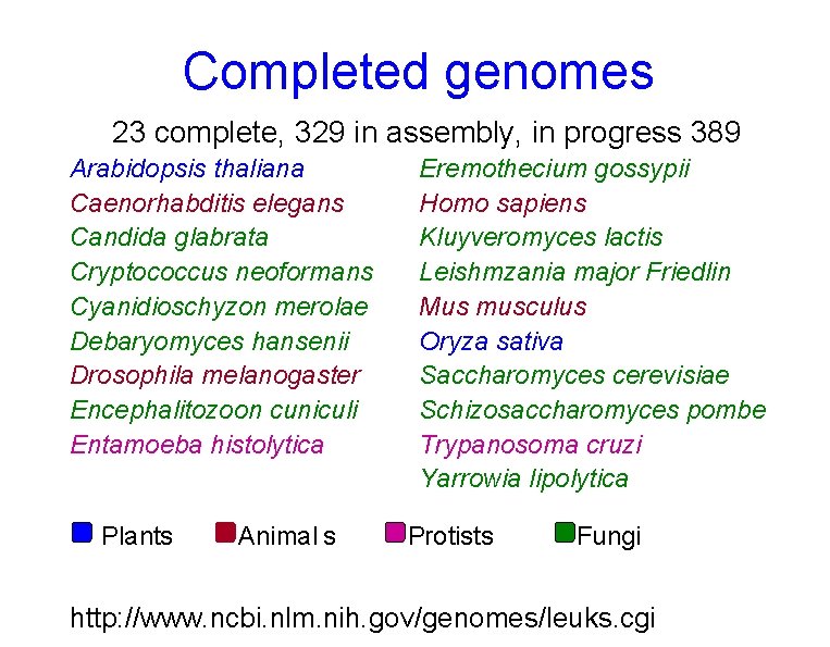 Completed genomes 23 complete, 329 in assembly, in progress 389 Arabidopsis thaliana Caenorhabditis elegans