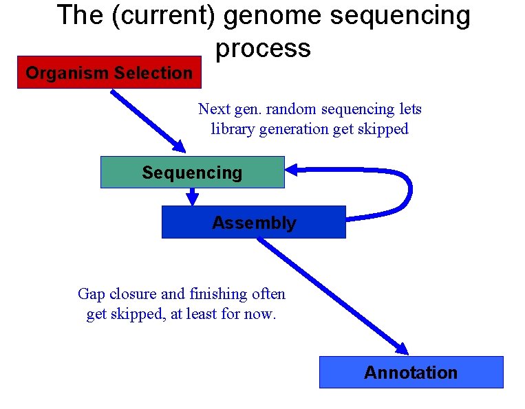 The (current) genome sequencing process Organism Selection Next gen. random sequencing lets library generation