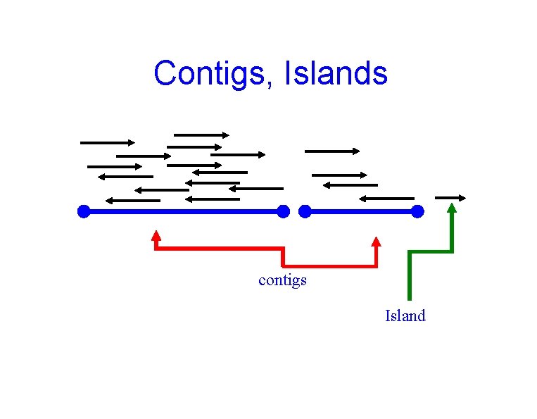 Contigs, Islands contigs Island 