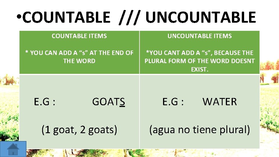  • COUNTABLE /// UNCOUNTABLE ITEMS * YOU CAN ADD A “s” AT THE