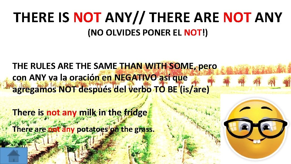 THERE IS NOT ANY// THERE ARE NOT ANY (NO OLVIDES PONER EL NOT!) THE
