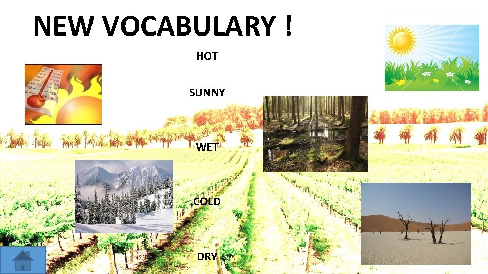 NEW VOCABULARY ! HOT SUNNY WET COLD DRY 