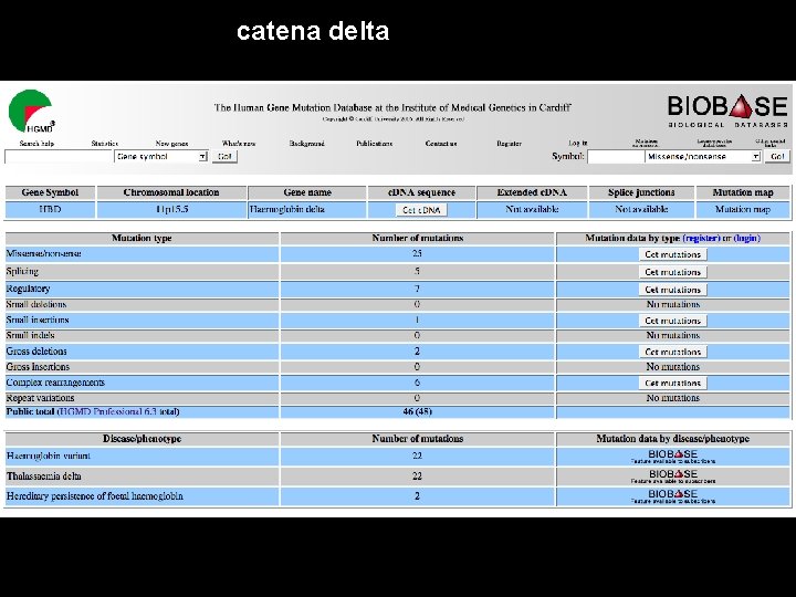 catena delta 