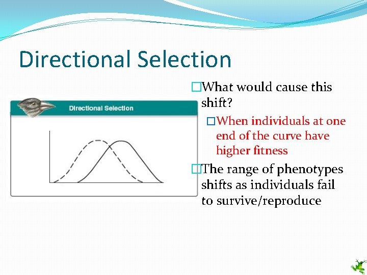 Directional Selection �What would cause this shift? �When individuals at one end of the